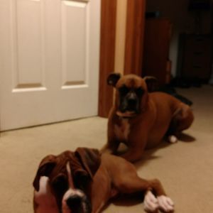 Meet your Posher, Lynnette dodi